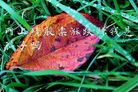 网上猜股票涨跌赚钱是骗子吗