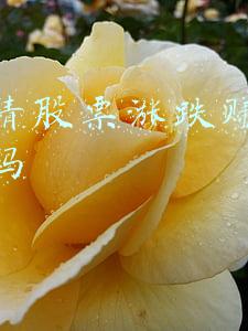 网上讲股票真的假的(算命都是骗局，所有说算命准的，都是被骗了)