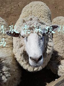 网上猜股票涨跌赚钱是骗子吗