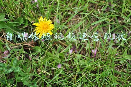 自媒体短视频怎么赚钱(新手如何做好短视频运营？很多人第一步就错了，简单几步快速赚钱)