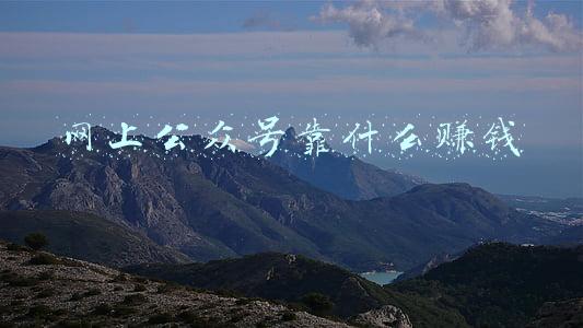 网上公众号靠什么赚钱