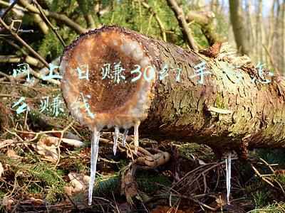 每天能赚30—50元的手游(手游搬砖哪个游戏比较赚2021 一天赚50左右手游)