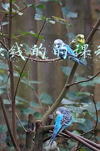 网上赚钱的的课程是真的吗