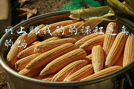 网上赚钱的的课程是真的吗