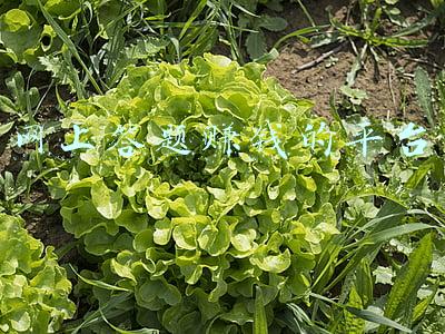 会计初级网上答题(熬了整整3夜，我把2022初级会计总结成了600题，附详细答案解析)