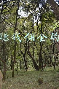 网上赚钱佣金的软件