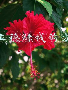 网上稳赚钱的方法