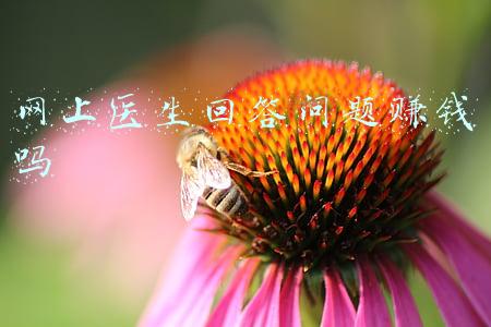 网上医生回答问题赚钱吗
