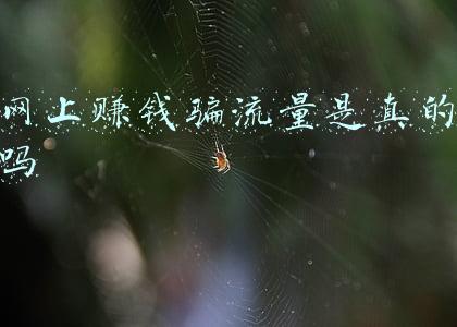 网上赚钱骗流量是真的吗