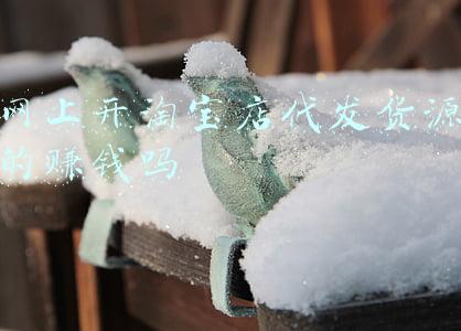 淘宝做一件代发赚钱吗(2021年新手做淘宝一件代发，一个月能赚多少钱？)