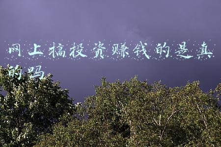 网投带你赚钱是真的吗(网恋男友、炒股大师带你轻松致富？别信了！已有人被骗几十万元)