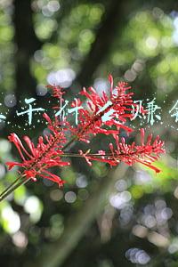 在网上干什么赚钱最快