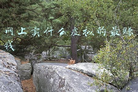 网上卖什么虚拟的最赚钱