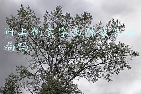 网上倒卖字画赚钱是骗局吗
