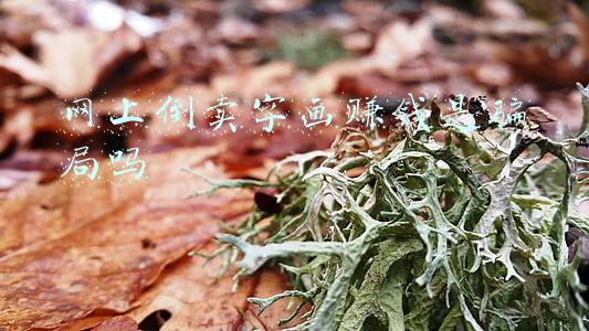网上倒卖字画赚钱是骗局吗