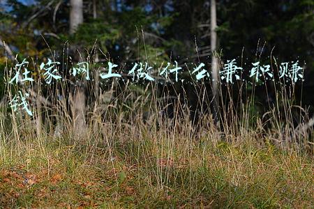 在家网上做什么兼职赚钱
