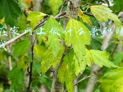 在家网上做什么兼职赚钱