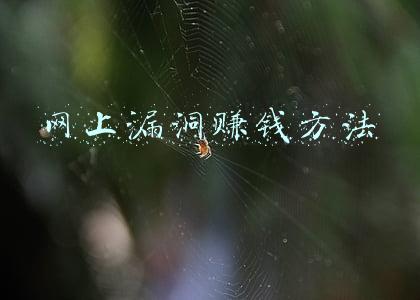 网上漏洞赚钱方法