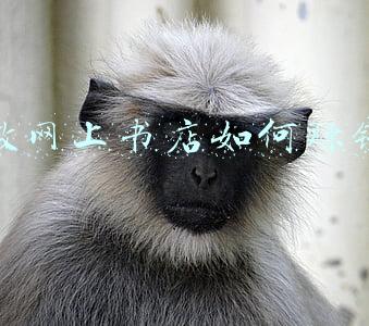 现在书店怎么赚钱(实体书店究竟能靠什么赚钱？)