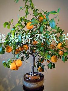 网上除了赌博哪些能快速赚钱(各位，有什么快速挣钱的办法？前提不违法)