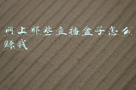 网上那些直播盒子怎么赚钱
