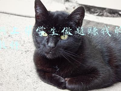 网上帮学生做题赚钱的软件