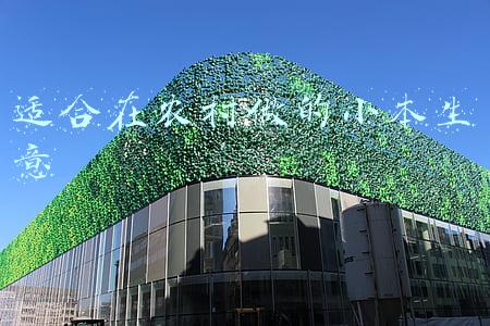 适合在农村做的小本生意