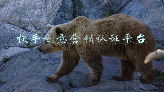 快手创意平台(有“烟火气”的快手达人，用真实将生意融于生活)