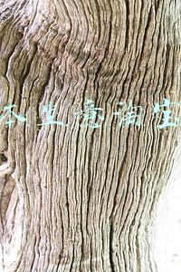 小本生意淘宝店