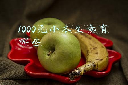 1000元能做什么小本生意(1000元投资什么最赚钱 有什么赚钱之道？)