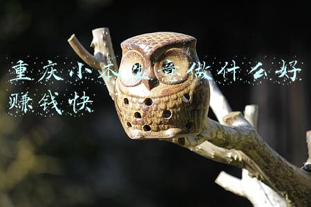 重庆小本生意做什么好赚钱快