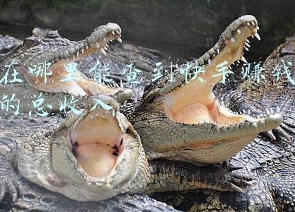 快手哪里可以看到收入(快手上市首份财报：去年营收585.8亿，收入结构大变)