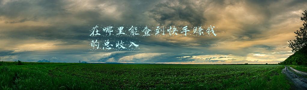 怎么能看到快手一共挣多少钱(快手助力砍价项目到底靠不靠谱？)