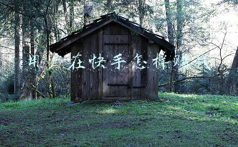 用快手如何赚钱(快手主播一天能赚多少钱？快手直播赚钱收益怎么分成分析)