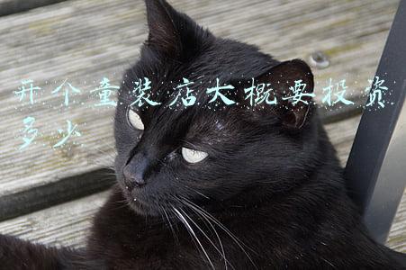 开童装店利润有多少(开个童装店利润怎么样)