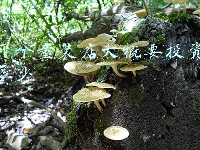 开个童装店大概需要多少钱；开个童装店大概需要多少钱进货