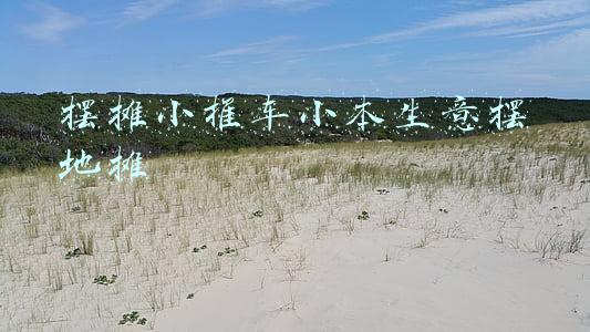 摆摊小推车小本生意摆地摊