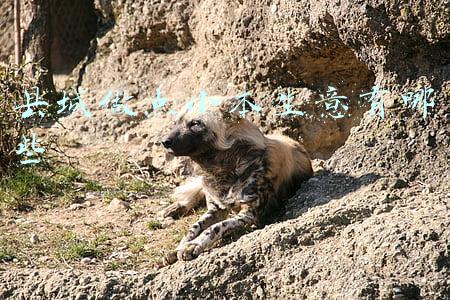在县城适合做什么小本生意(50岁的人在小县城能做哪些小本生意，赚钱快，也比较稳妥？)