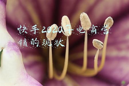 快手2020年电商营销的现状