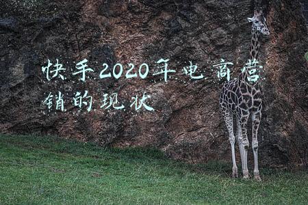 2020快手电商生态报告(快手平台深度分析，解读下沉市场流量趋势)
