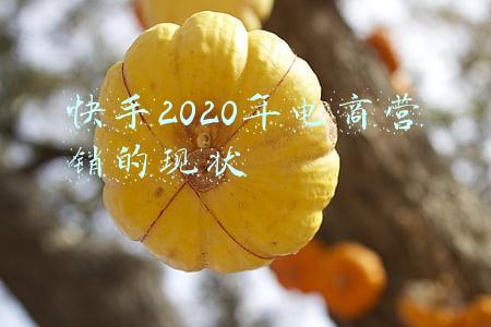 快手市场份额2020(在宿华承认用户规模见顶之前，快手可能会持续亏损下去)
