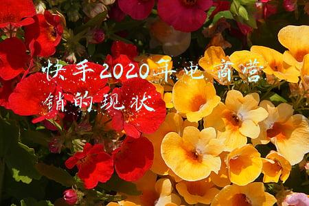 快手未来商业前景和趋势(快手商业化Q3前瞻：新市井商业生态成型，收入有望保持高速增长)