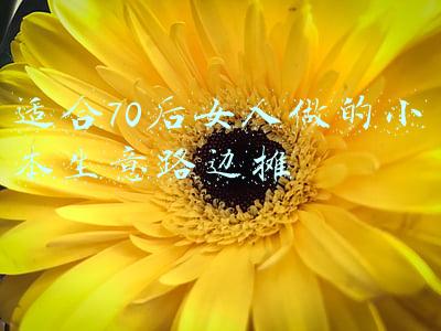 路边做什么小本生意好(街边小吃项目，2000元的投入，有哪些可以一天轻松收入五六百的？)