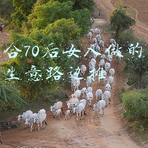 适合70后女人做的小本生意路边摊
