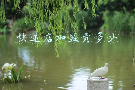 快递店加盟费多少 快递店加盟费多少