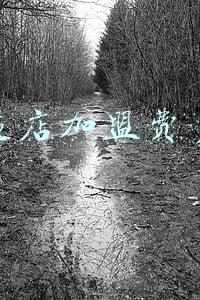 开一个快递加盟店得多少钱-开个快递加盟店要多少钱