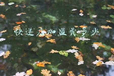 加盟快递多少钱啊：加盟快递怎么加盟需要多少钱