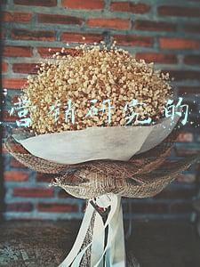 快手营销研究的意义