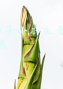 2017年小本生意最赚钱