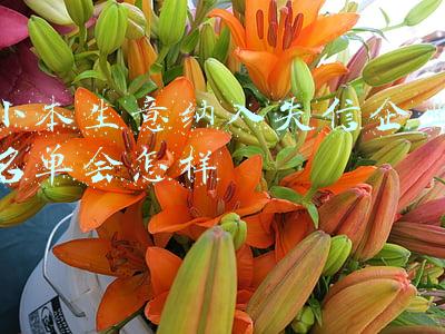 小本生意纳入失信企业名单会怎样
